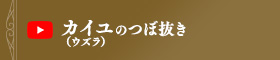 カイユ（ウズラ）のつぼ抜き方法